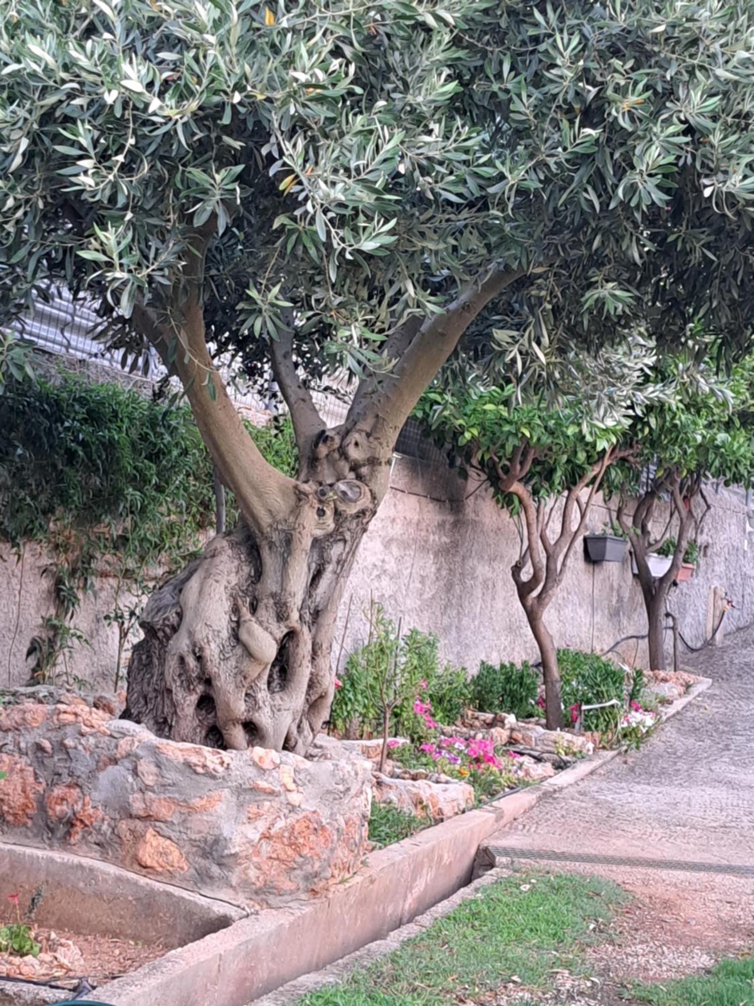 Garden House-Free Transfer From Airport Villa Artemida  Buitenkant foto