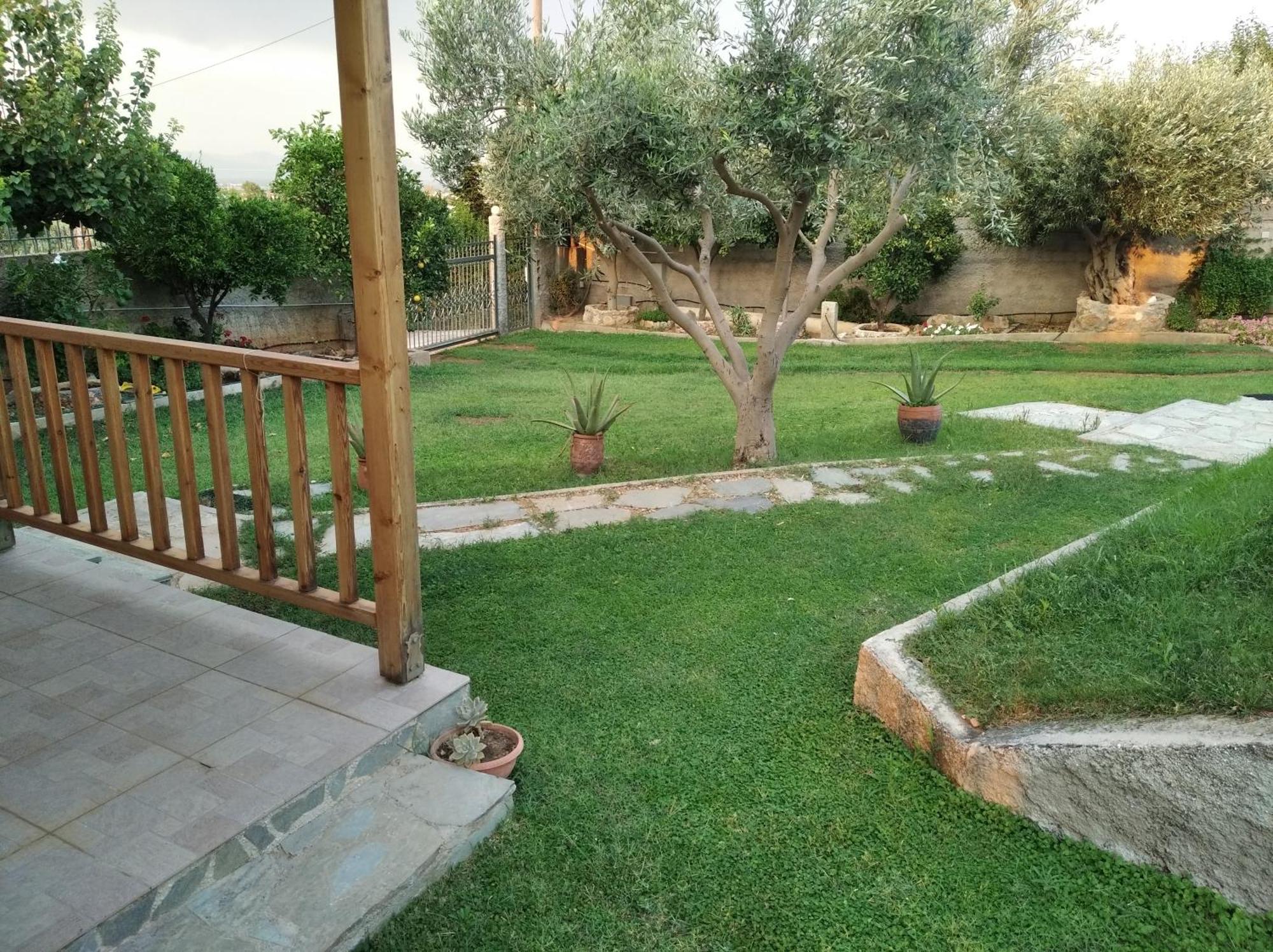 Garden House-Free Transfer From Airport Villa Artemida  Buitenkant foto