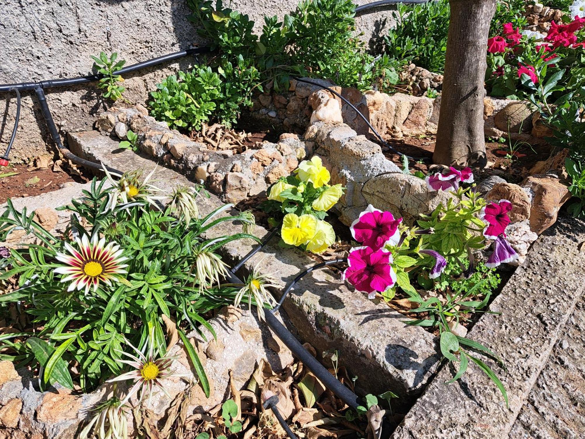 Garden House-Free Transfer From Airport Villa Artemida  Buitenkant foto